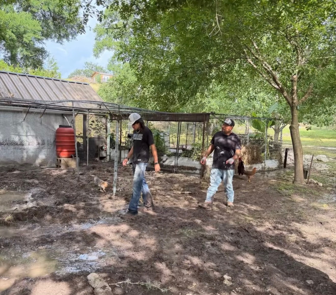 Flood recovery at Buck Wild Rescue