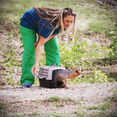 The moment every rescue works toward