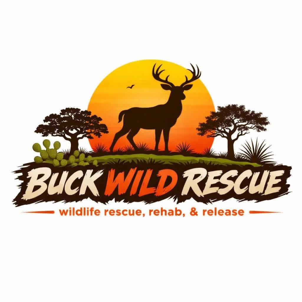 Buck Wild Rescue