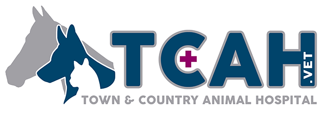 Town & Country Animal Hospital
